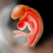 Τρίτος Μήνας