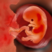 Έκτος Μήνας