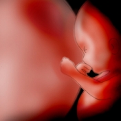 Έβδομος Μήνας