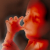 Όγδοος Μήνας