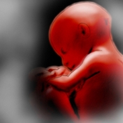 Δέκατος Μήνας