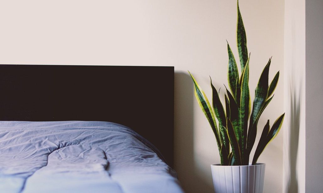 Ιδέες διακόσμησης για το πιο minimal φοιτητικό υπνοδωμάτιο