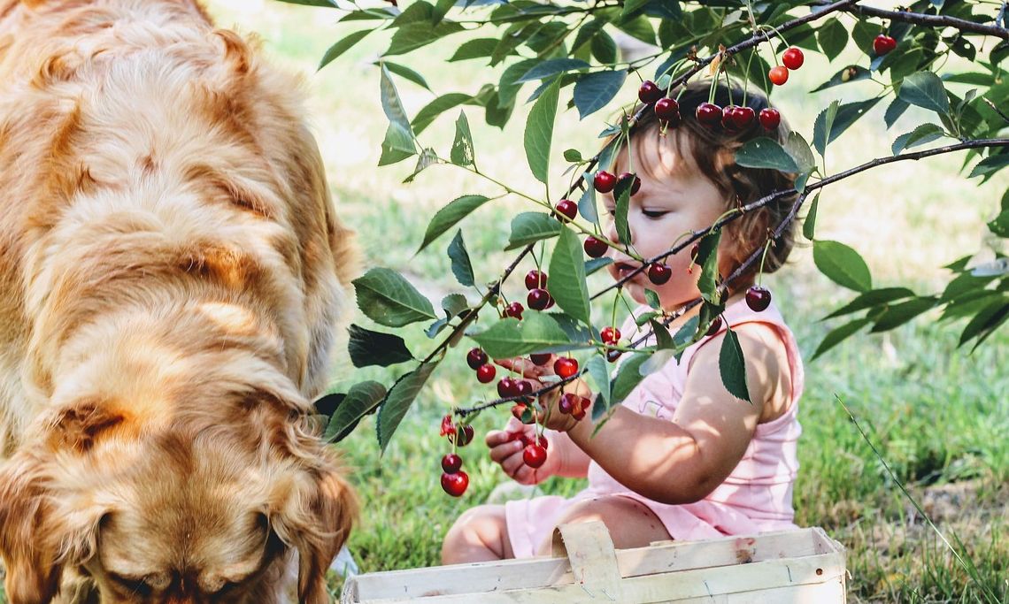 Πώς θα κόψεις τα λαχανικά για να μην πνίγονται τα παιδιά