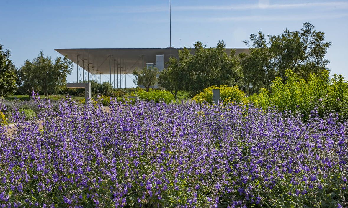 Ανοίγει το ΚΠΙΣΝ: Επισκέψεις μόνο με προεγγραφή σε ηλεκτρονική πλατφόρμα