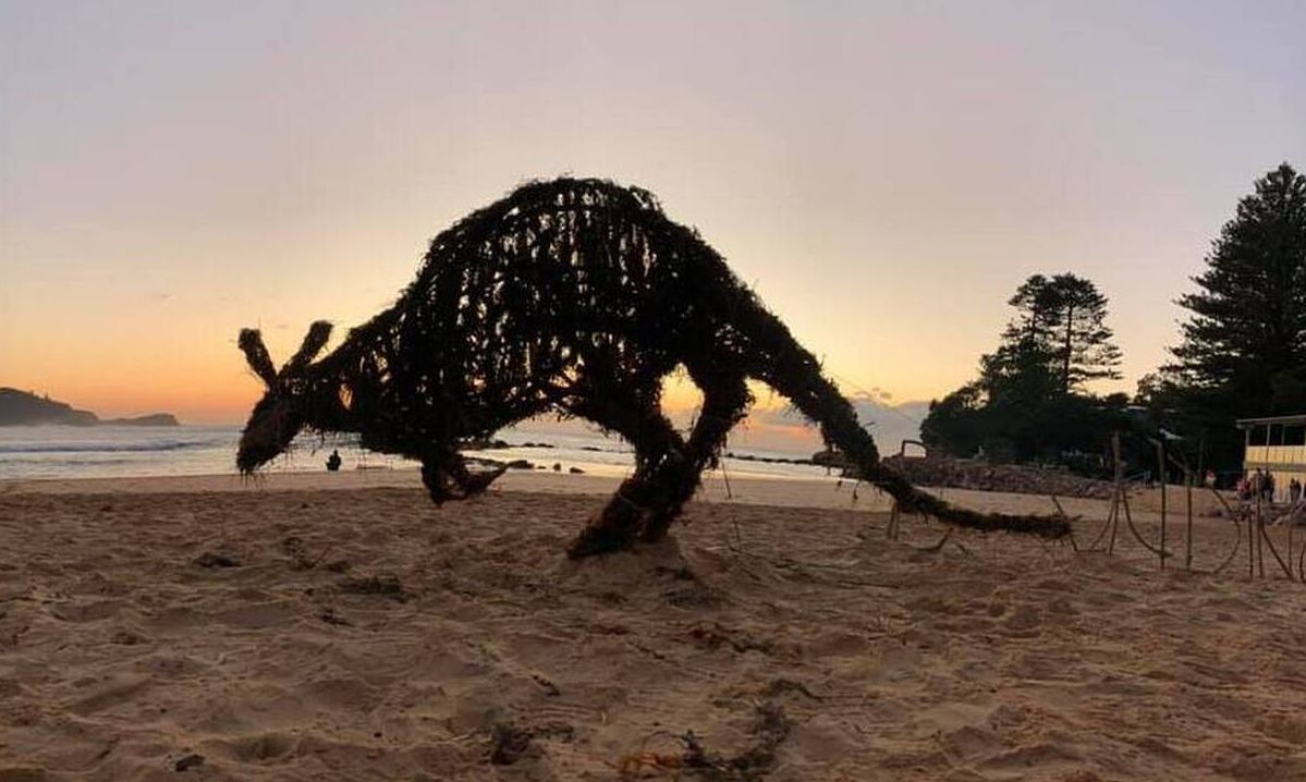 Γλυπτά ζώα από ξύλα που ξεβράζει ο ωκεανός δημιουργεί καλλιτέχνης στην Αυστραλία
