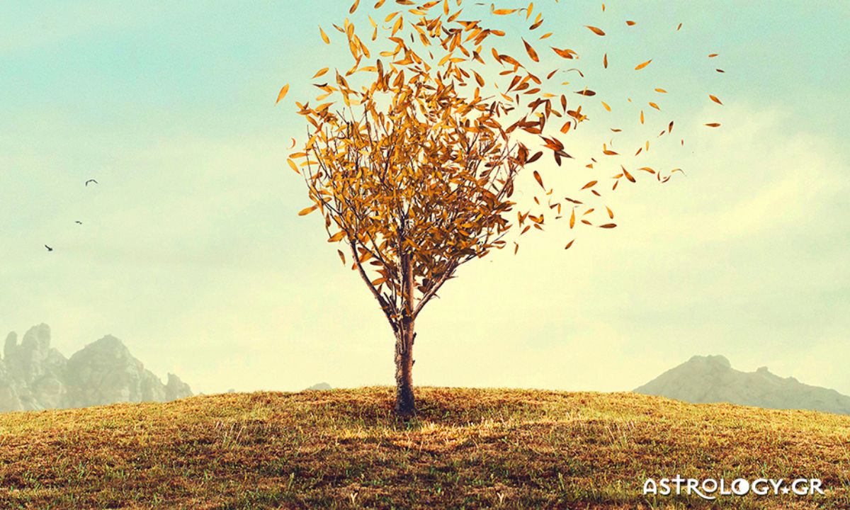 Ημερήσιες Προβλέψεις για όλα τα Ζώδια 12/10