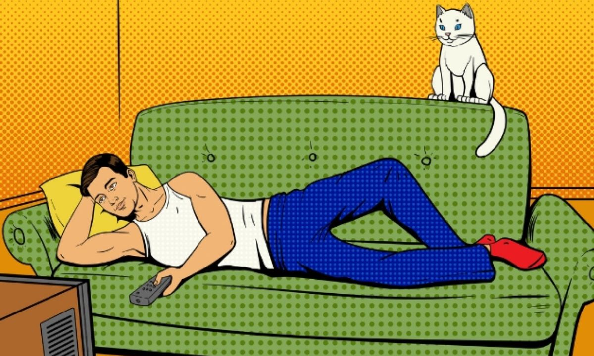 Ποιο ζώδιο είναι «σπιτόγατος»; Ψήφισέ το!