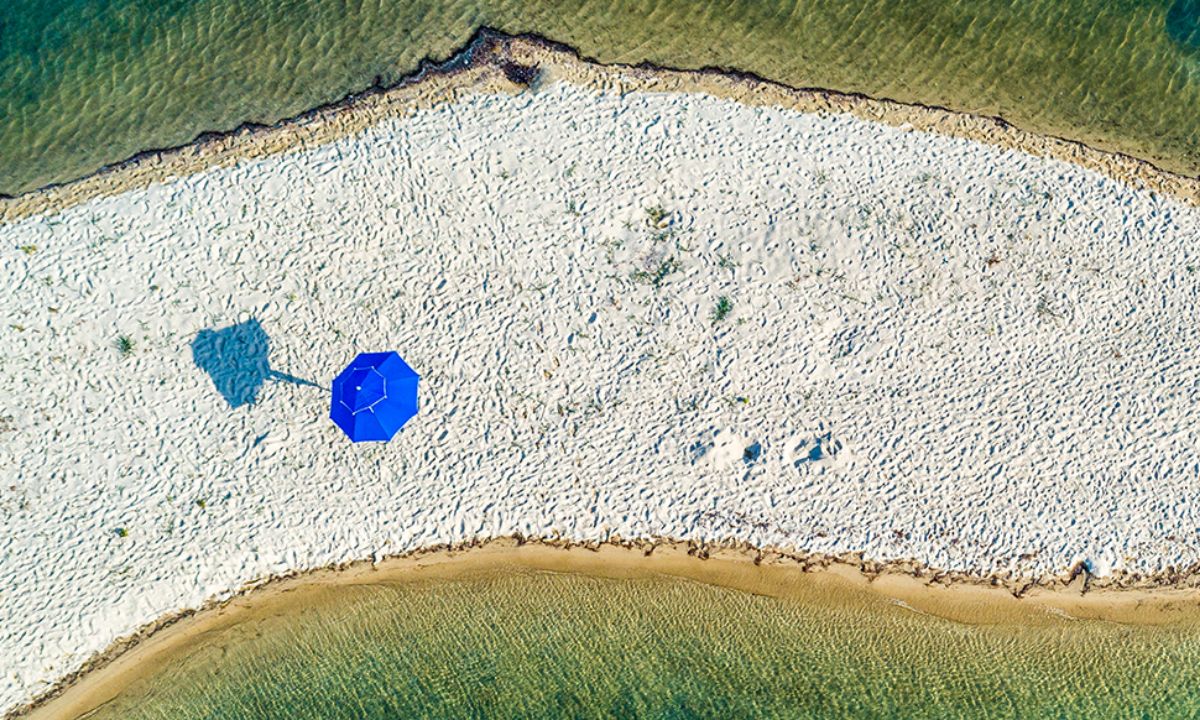 Ημερήσιες Προβλέψεις για όλα τα Ζώδια 02/08