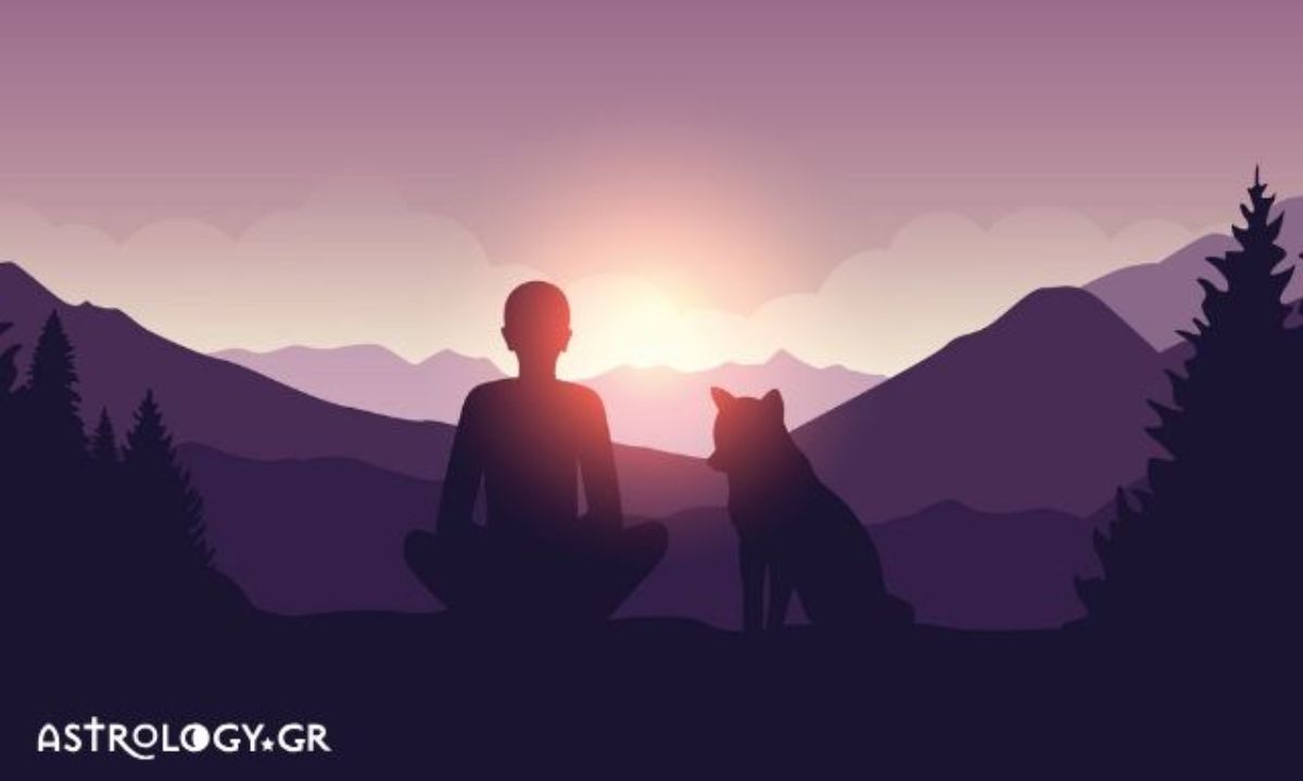 Σήμερα 13/08: Συντήρηση δυνάμεων