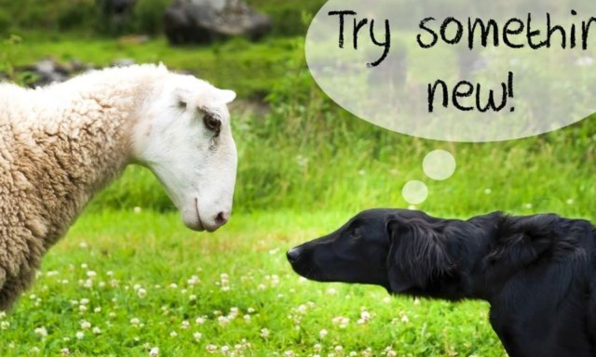 Σήμερα 26/08: Δοκίμαζε και δε θα χάσεις!