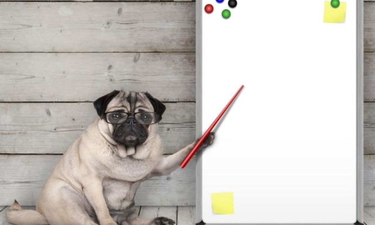 Ο Άρης στην Παρθένο είναι υψηλών απαιτήσεων