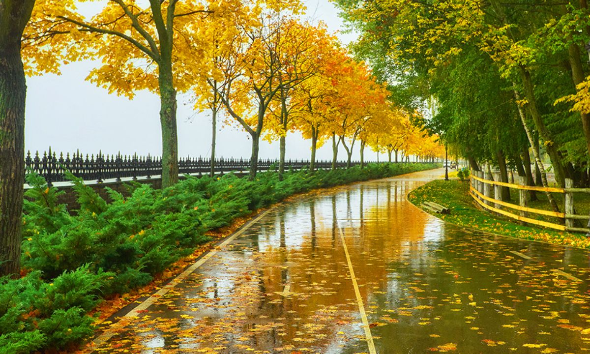 Ημερήσιες Προβλέψεις για όλα τα Ζώδια 10/11