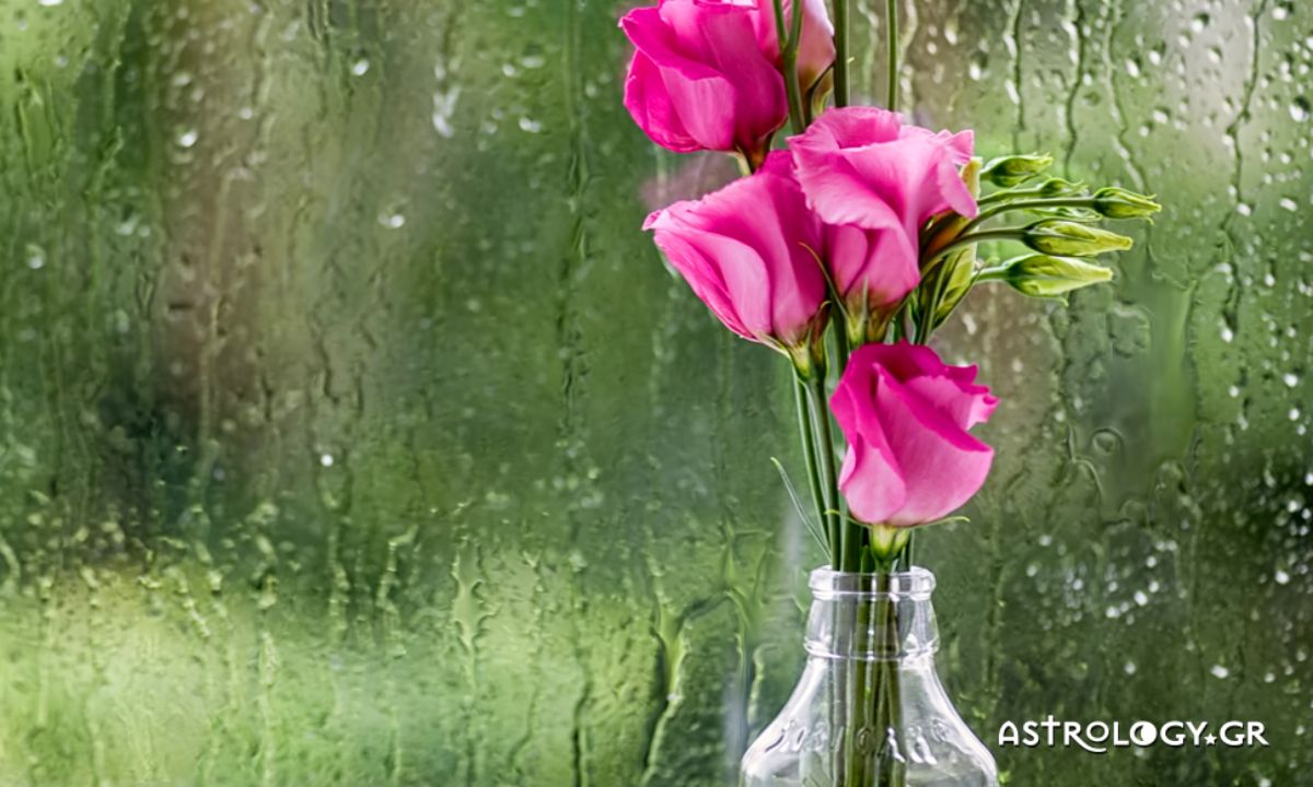 Ημερήσιες Προβλέψεις για όλα τα Ζώδια 11/11