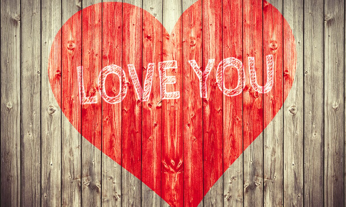 Προβλέψεις αγάπης για όλα τα Ζώδια, 14/11