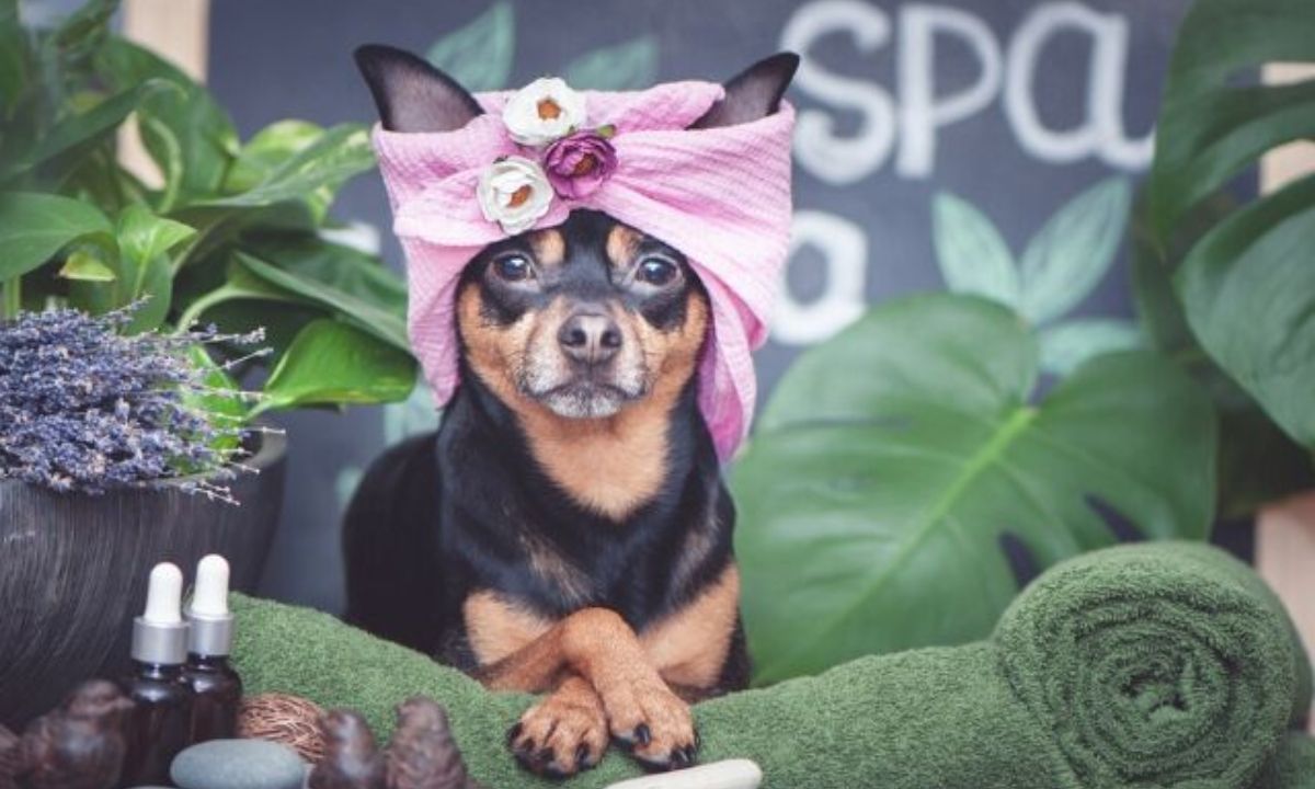 Σήμερα 04/12: «Νερό» με το κανάτι!