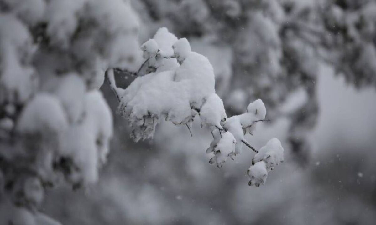 Κακοκαιρία: Δείτε LIVE πού χιονίζει ΤΩΡΑ στην Ελλάδα