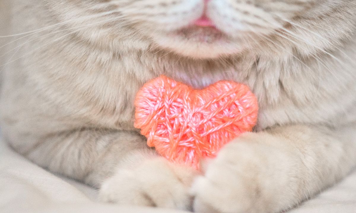 Προβλέψεις αγάπης για όλα τα Ζώδια, 09/01