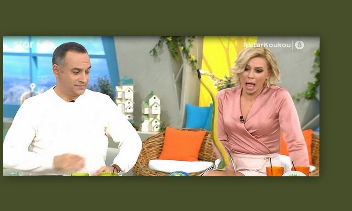 Απίστευτο στιγμιότυπο στη Φωλιά των Κου Κου: Έπεσε φίδι από την οροφή