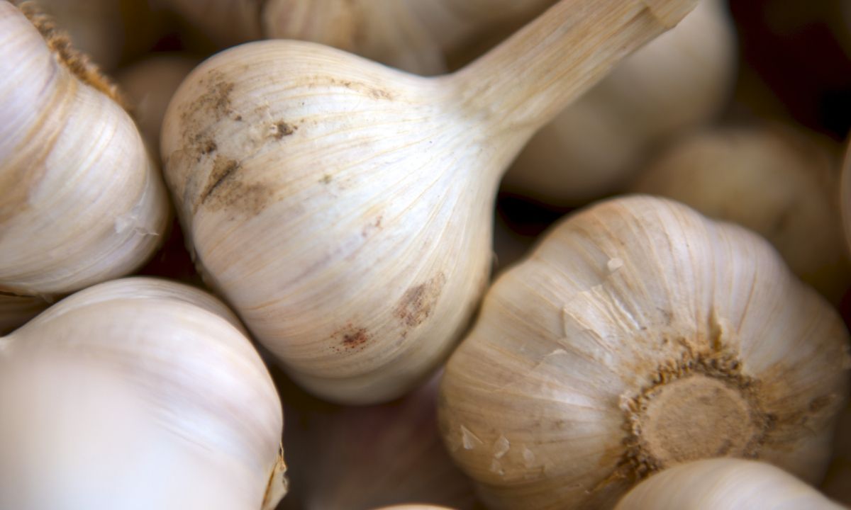 Τέσσερις επιστημονικά επιβεβαιωμένοι τρόποι για να τρως σκόρδο και να μην μυρίζει η ανάσα σου