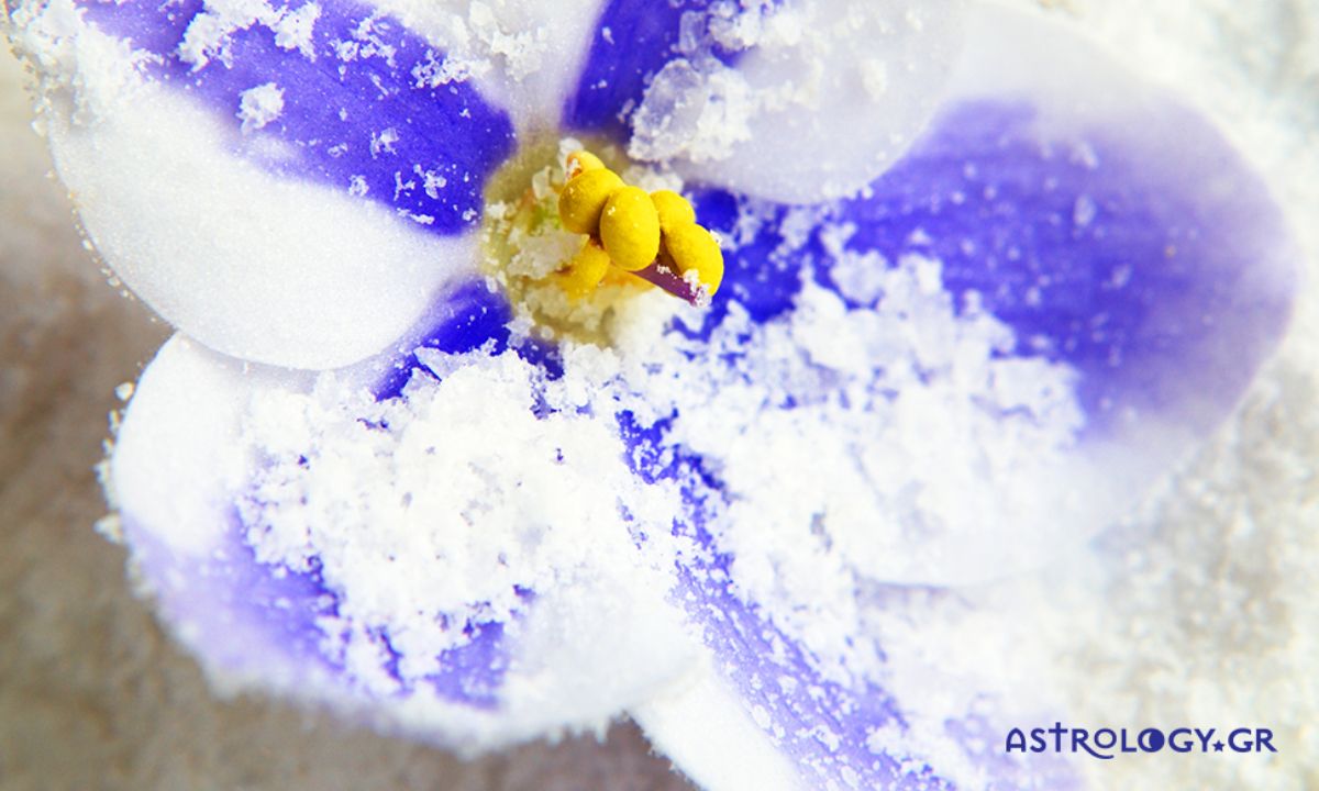 Ημερήσιες Προβλέψεις για όλα τα Ζώδια 20/01
