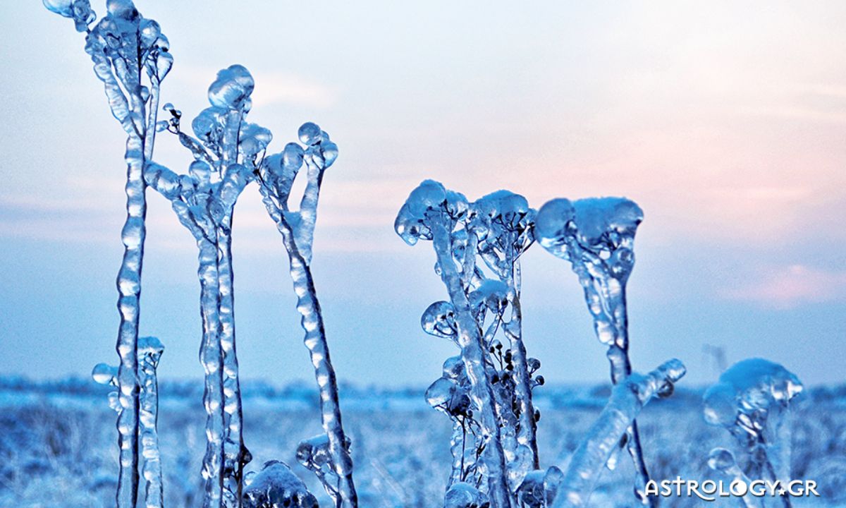 Ημερήσιες Προβλέψεις για όλα τα Ζώδια 24/01
