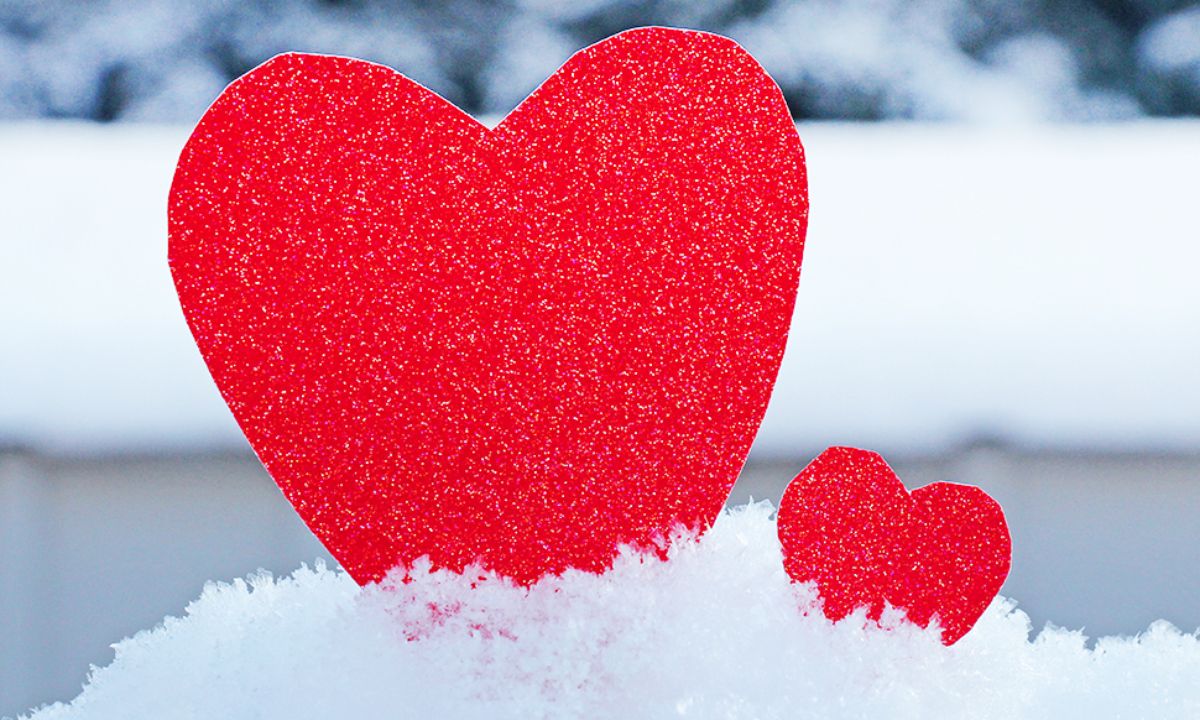 Προβλέψεις αγάπης για όλα τα Ζώδια, 23/01