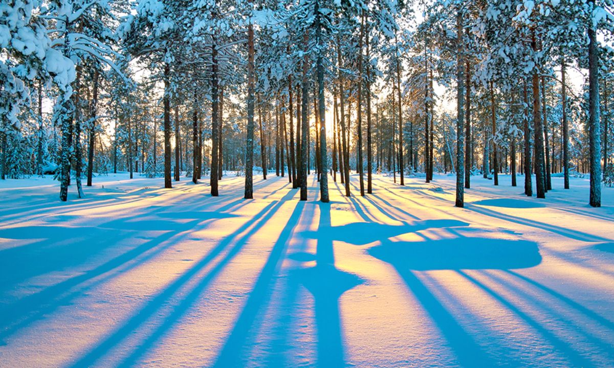 Ημερήσιες Προβλέψεις για όλα τα Ζώδια 27/01