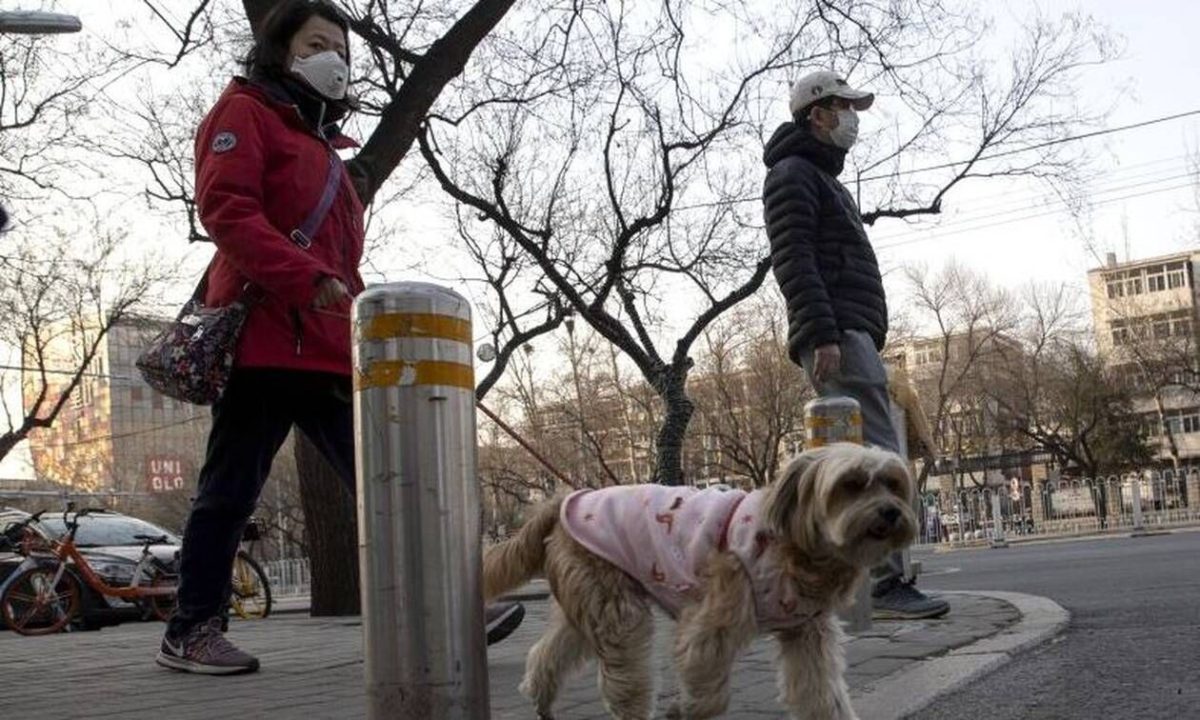 Κοροναϊός: Ανακοίνωση - σοκ για τα κατοικίδια