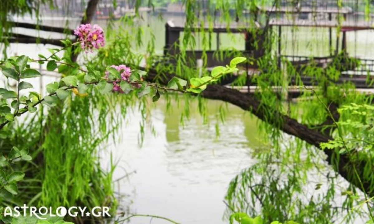Κινέζικη αστρολογία: Προβλέψεις από 24/03 έως 23/04