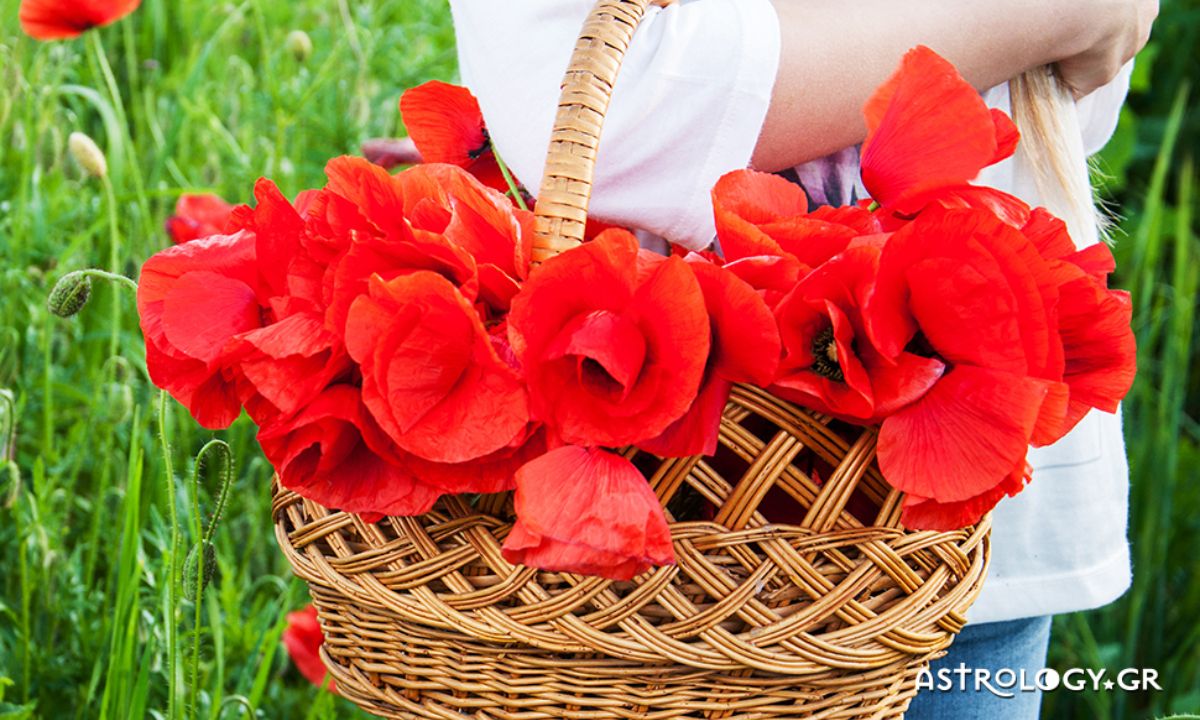 Ημερήσιες Προβλέψεις για όλα τα Ζώδια 27/03
