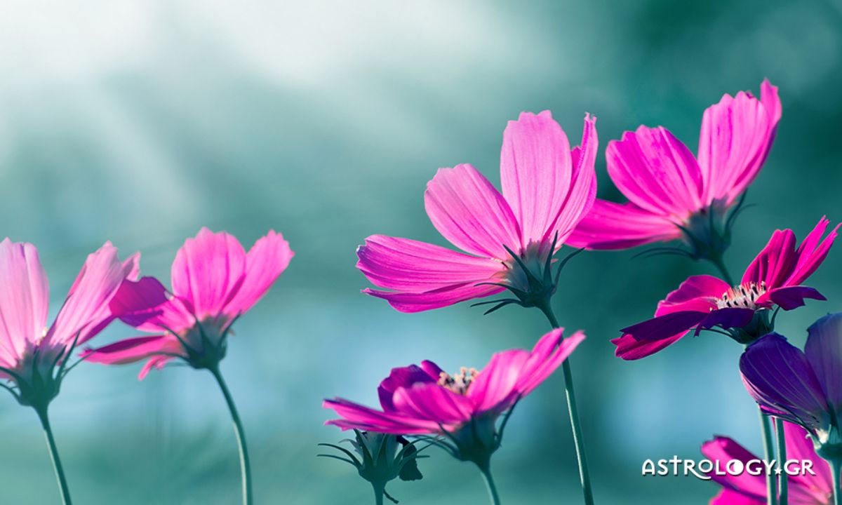 Ημερήσιες Προβλέψεις για όλα τα Ζώδια 29/03