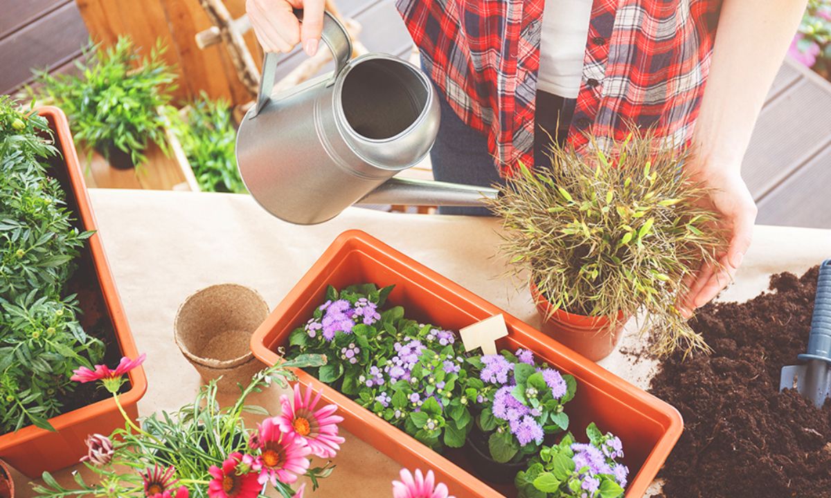 Ημερήσιες Προβλέψεις για όλα τα Ζώδια 05/04
