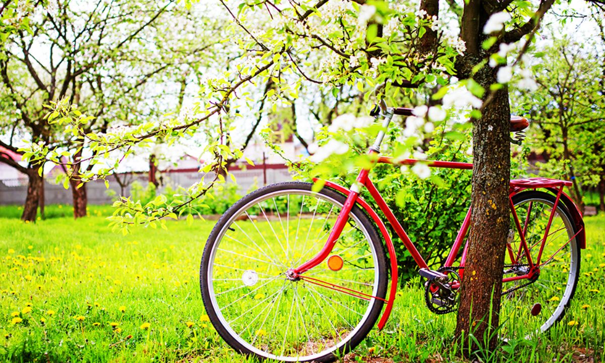 Ημερήσιες Προβλέψεις για όλα τα Ζώδια 06/04