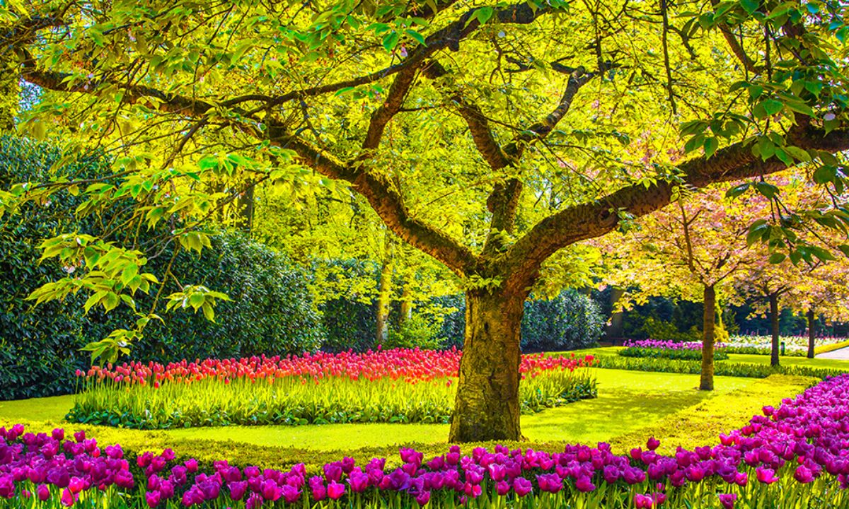 Ημερήσιες Προβλέψεις για όλα τα Ζώδια 11/04