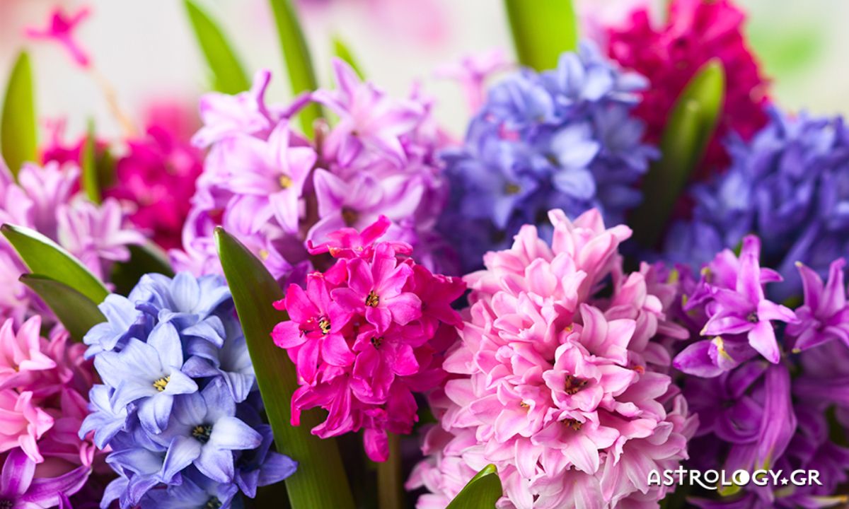 Ημερήσιες Προβλέψεις για όλα τα Ζώδια 21/04