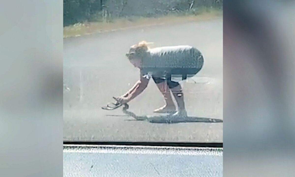 Τρομερό! Έγκυος έπιασε φίδι στη μέση του δρόμου την ώρα που μιλούσε στο κινητό (video)