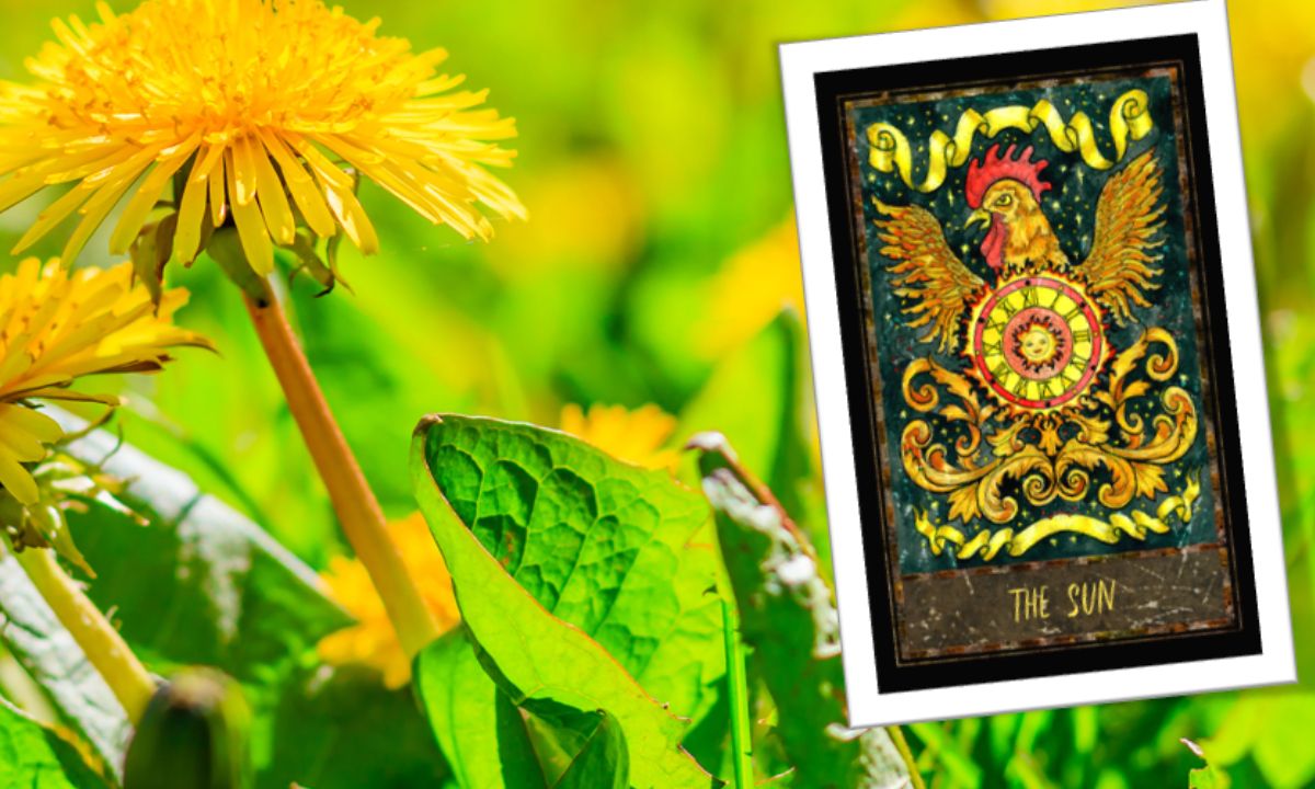 Προβλέψεις Ταρώ Ιουνίου 2020 για τα 12 ζώδια: Σταμάτα να επιμένεις!