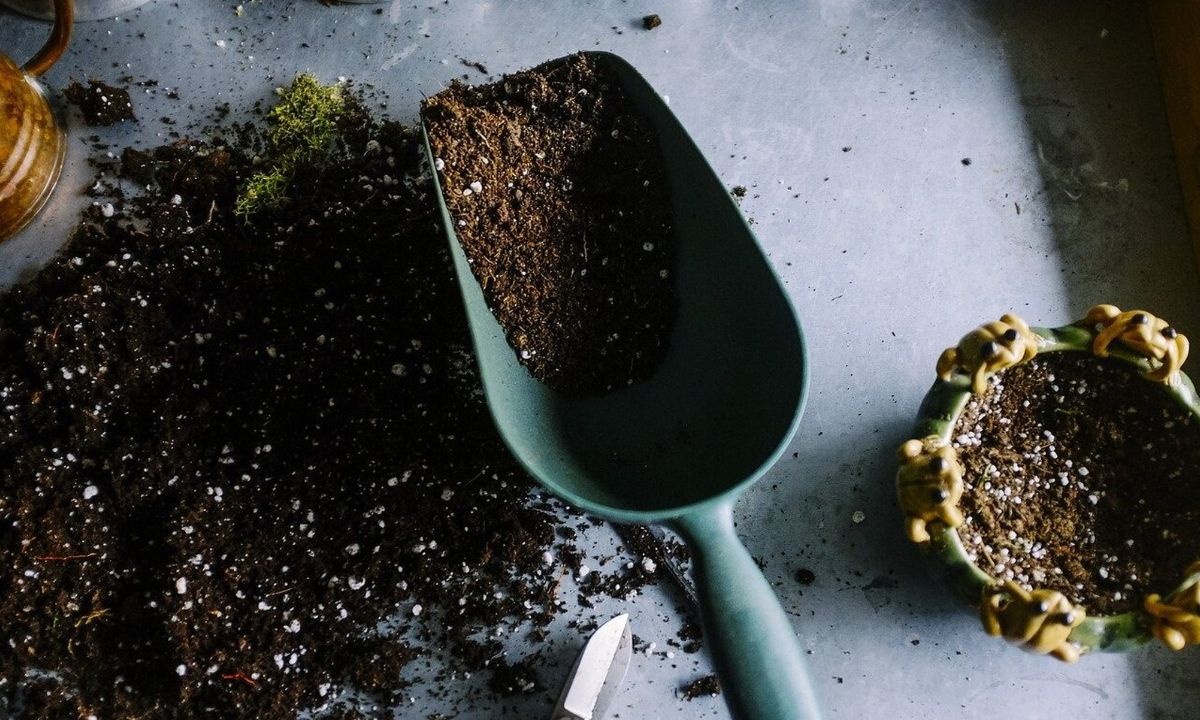 Αυτοί είναι οι λόγοι που πρέπει να βάζεις καφέ στις γλάστρες (photos)