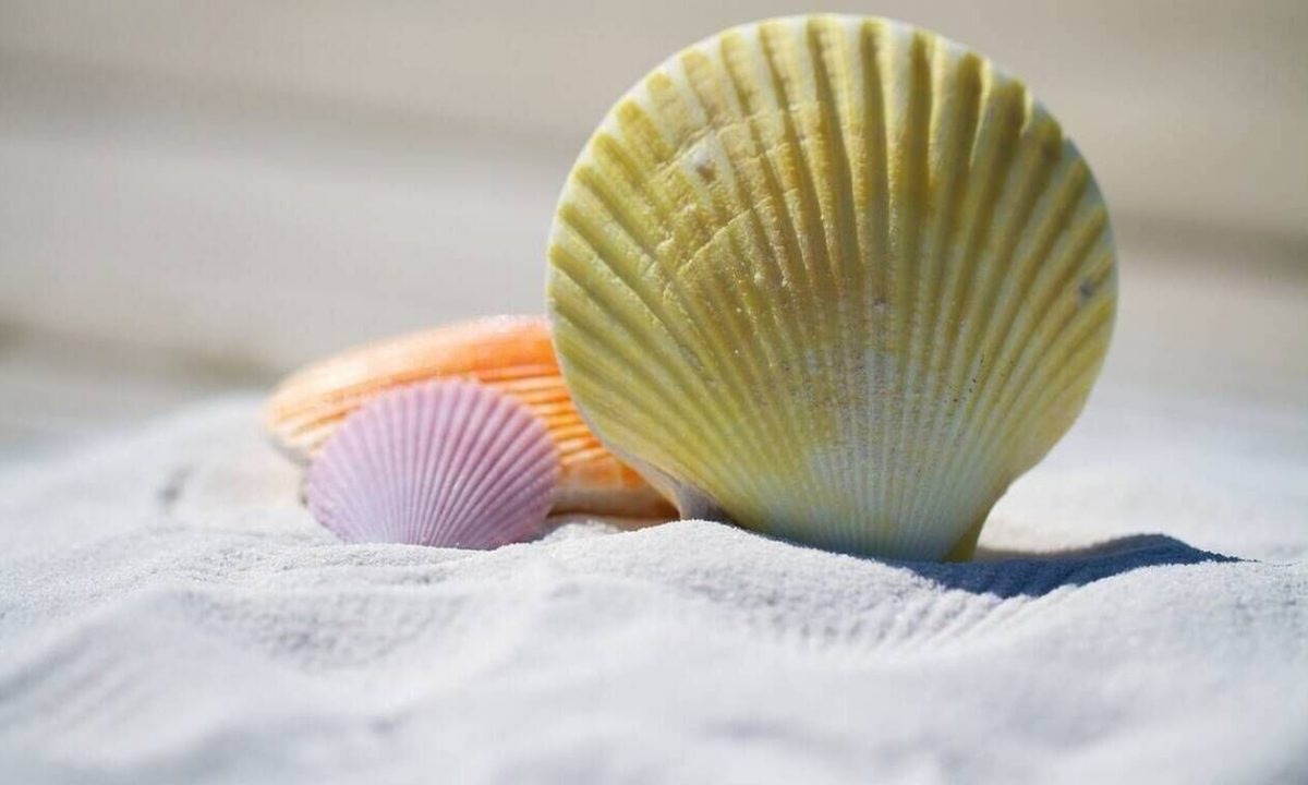 Κοινωνικός Τουρισμός: Αντίστροφη μέτρηση για την έναρξη των αιτήσεων - Οι δικαιούχοι και τα κριτήρια