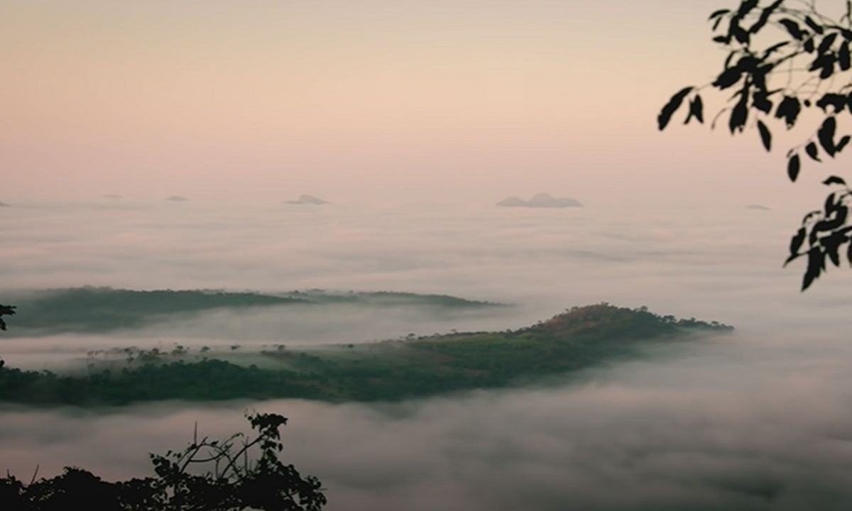 Το απάτητο δάσος που πήγε να εξερευνήσει το National Geographic (video)