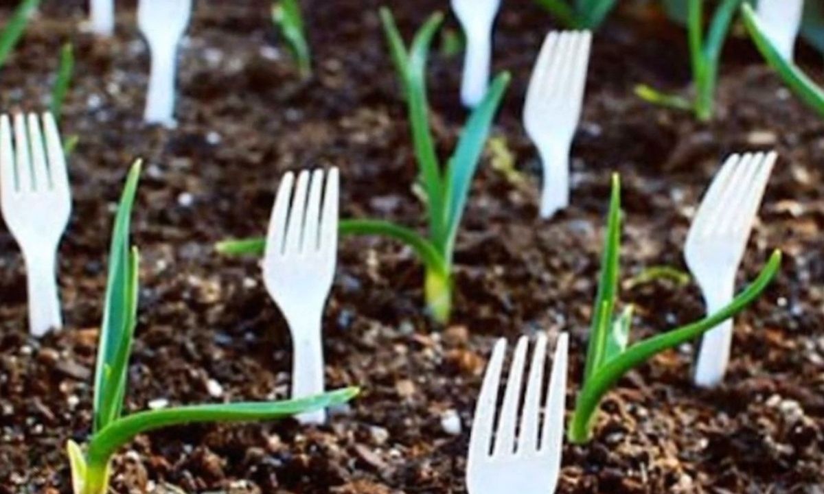 Γέμισε τον κήπο με πλαστικά πιρούνια - Δεν φαντάζεστε για ποιον λόγο (video)