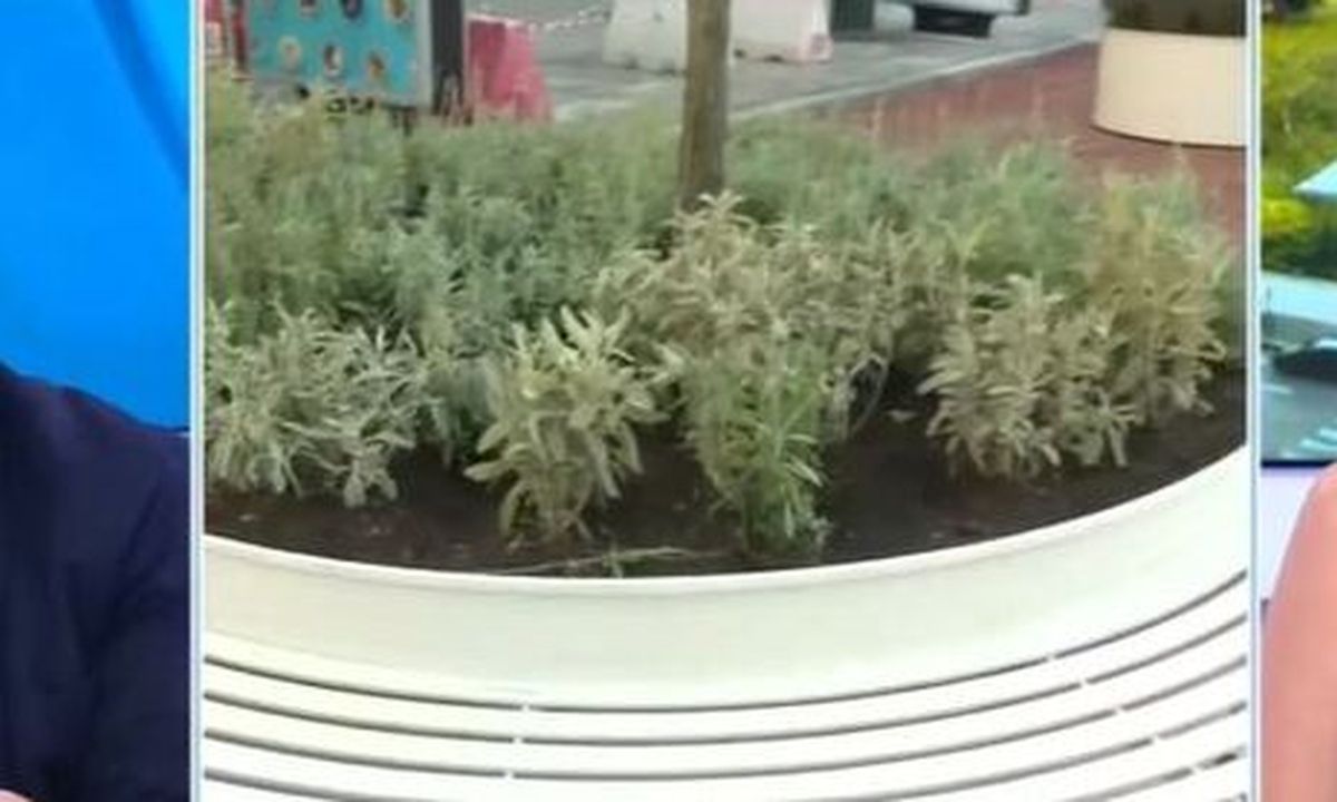 Μεγάλος Περίπατος: Αυτό είναι το παγκάκι των 5.500 ευρώ (video)