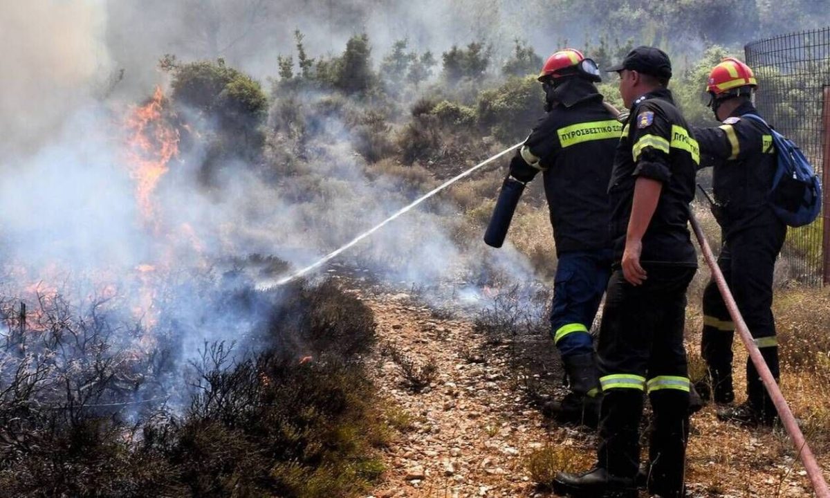 Φωτιά ΤΩΡΑ στην Ηλεία