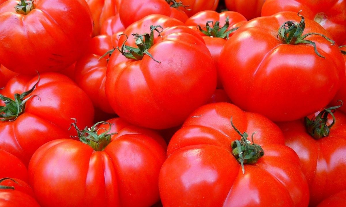 Μην αποθηκεύετε τις τομάτες στο ίδιο σημείο - Αυτός είναι ο λόγος (photos)