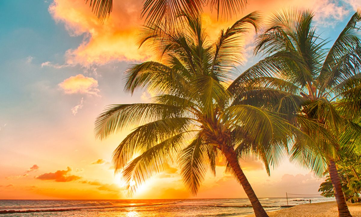 Τι λένε τα άστρα για τον Αύγουστο 2020;