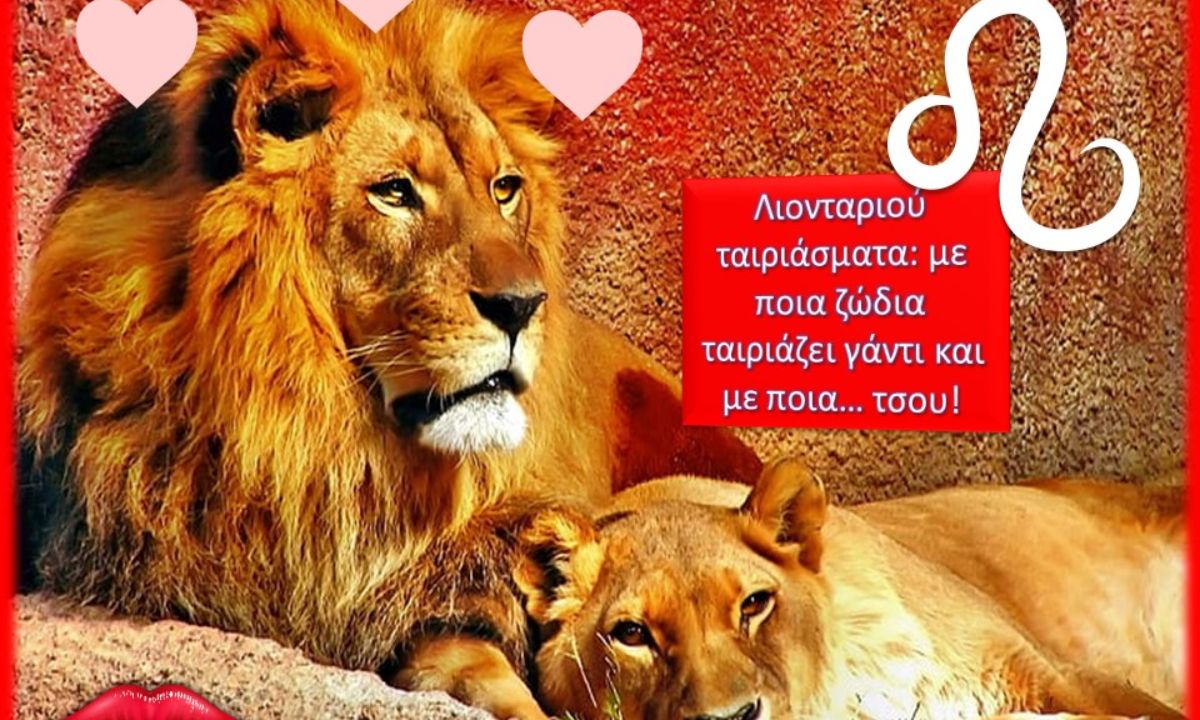 Με ποιους ταιριάζει το Λιοντάρι και σε ποιους λέει bye bye;