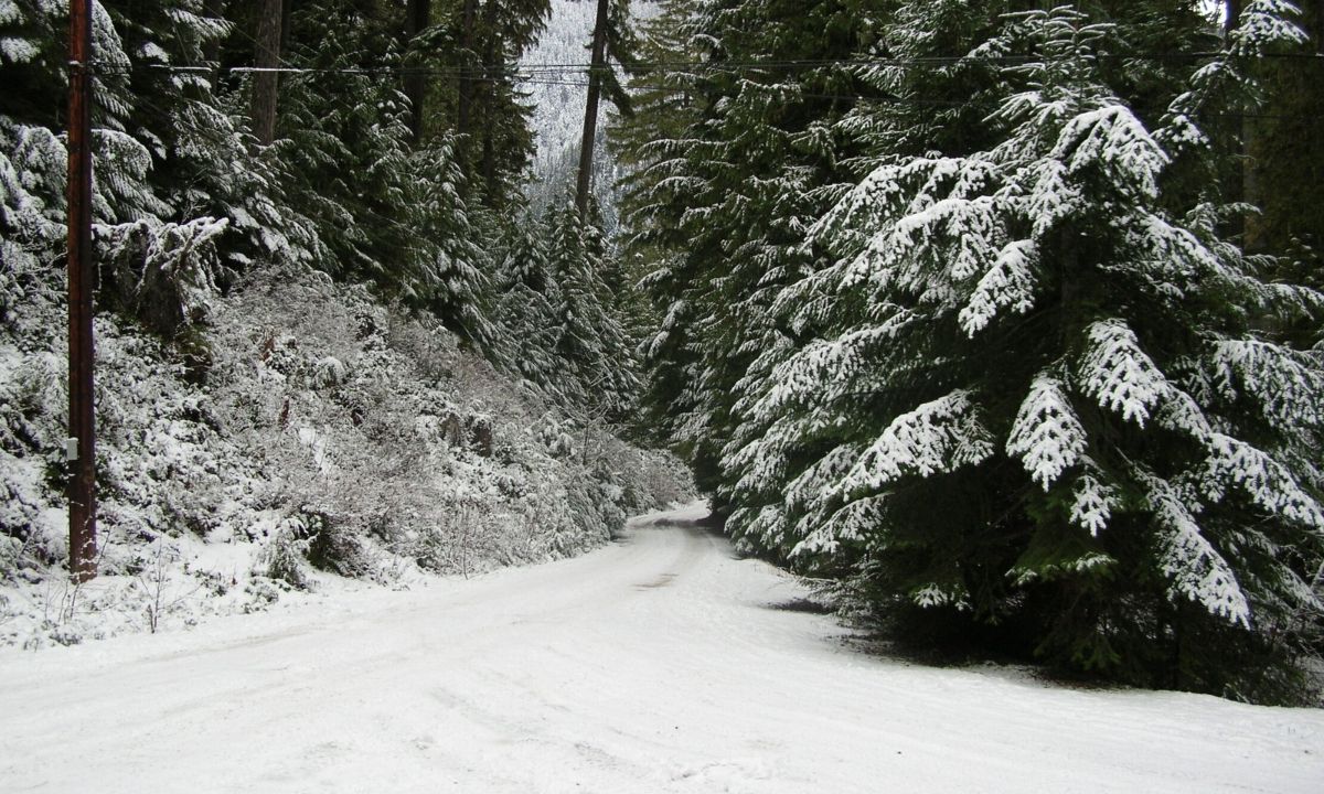 Μερομήνια 2020-2021: «Βλέπουν» βαρυχειμωνιά και χιονισμένα Χριστούγεννα (video)