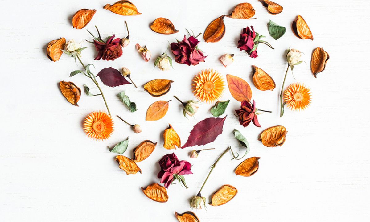 Προβλέψεις αγάπης για όλα τα ζώδια, 07/09