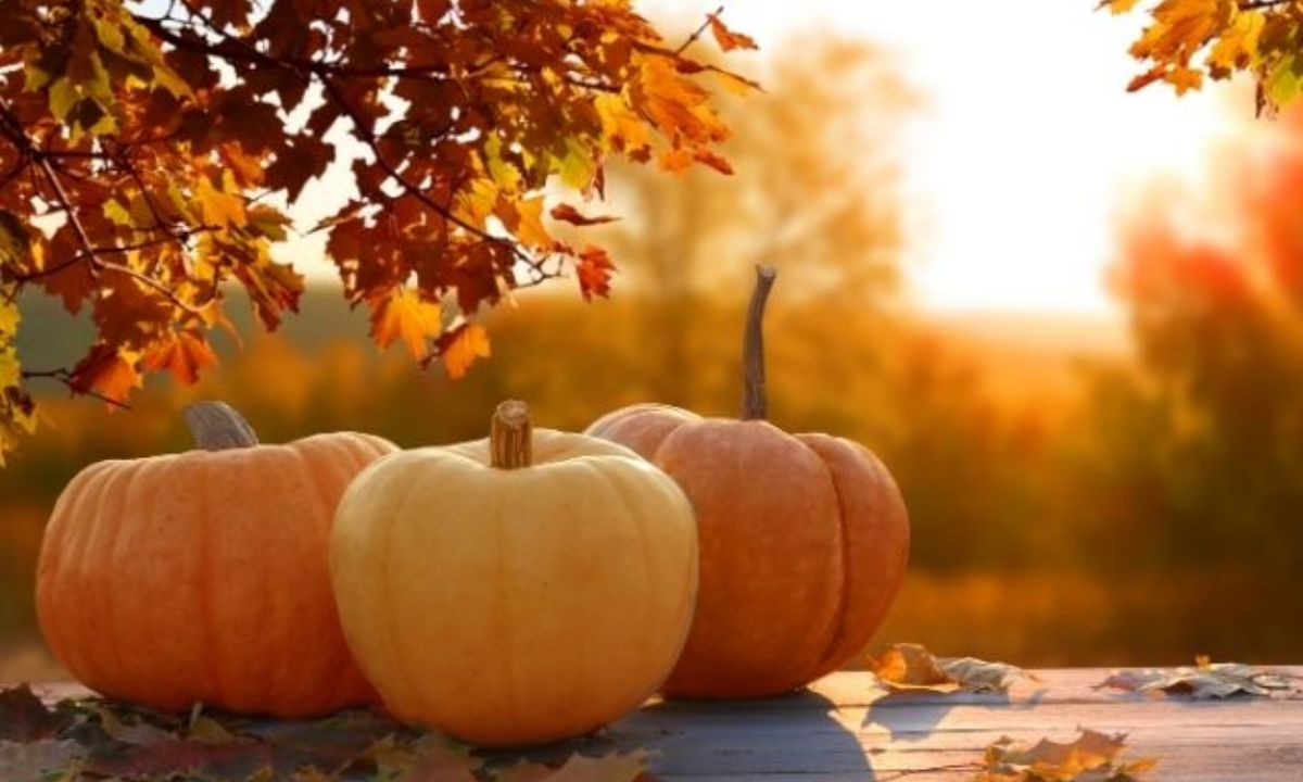 Σήμερα 22/09: Κι επίσημα Φθινόπωρο