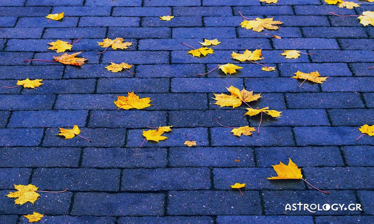 Ημερήσιες Προβλέψεις για όλα τα Ζώδια 17/09